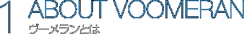 1.ABOUT VOOMERAN ヴーメランとは