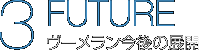 3.FUTURE ヴーメラン今後の展開